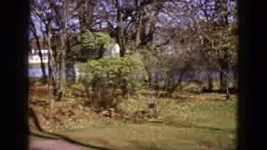 Wauconda Illinois USA (1960): Beautiful Peaceful Scene Of Green Lawn Trees And A
