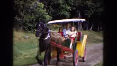 Buffalo New York USA (1961): The Persons Are Travelling In The Horse Cart They Are