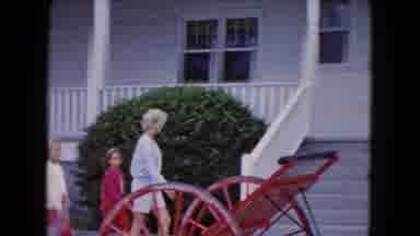 Buffalo New York USA (1961): The House Is Surrounded By Trees
