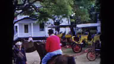 Buffalo New York USA (1961): Man In Red Shirt And Jeans Dismounts From Brown Horse