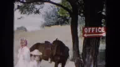 Buffalo New York USA (1961): A Woman And A Little Girl Walking Past A Horse