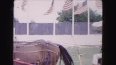 Buffalo New York USA (1961): Patriotic American Location With Many Flags And A