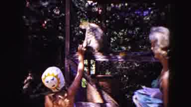Buffalo New York USA (1961): Vintage Video Woman In Weird Bonnet Gives Monkey A