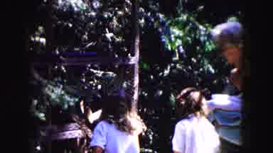 Buffalo New York USA (1961): The Persons Are Doing Playing With Monkey