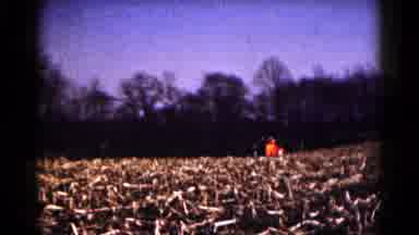 Hagerstown Maryland USA (1961): The House Is Like A Boat To Look At And Is Natural