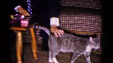 Hagerstown Maryland USA (1961): Male Child Petting Cat Next To Young Woman In Blue