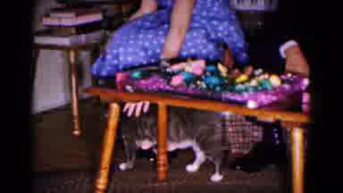 Hagerstown Maryland USA (1961): Woman In Blue Polka Dot Dress Petting A Grey And
