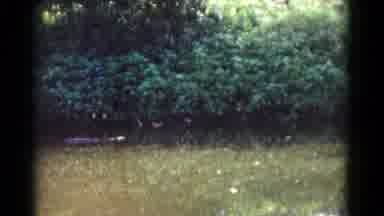 Hagerstown Maryland USA (1961): People Walking Through A Field Far Away From The