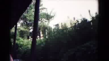 Hagerstown Maryland USA (1961): Travelers On A Boat Ride Going Through A Marsh