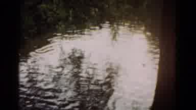 Hagerstown Maryland USA (1961): Slow Moving Video Of A Small Pond Or Lake With