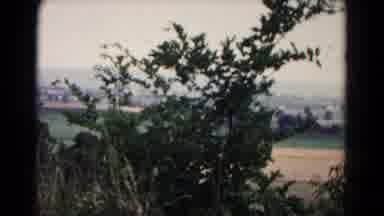 Hagerstown Maryland USA (1961): Trees And Wheat Waving In The Wind By A Farm
