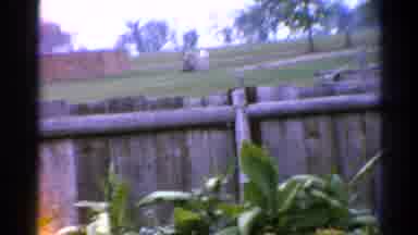 Catskill New York US (1962): View Of Backyard Fence With Plants In Front Of And