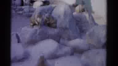 Catskill New York USA (1962): The Rats Are Sitting Top Of The Rock Very Beautiful