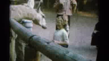 Catskill New York USA (1962): Kids Playing With Each Other And Animals At Zoo