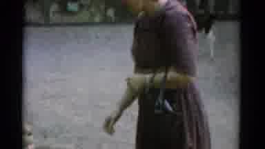 Catskill New York USA (1962): Family Day At The Park Petting Zoo Kids Playing At