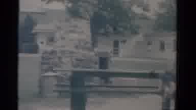 Catskill New York USA (1962): Children In Park Chasing Pigeons On The Ground And