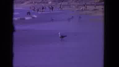 Los Angeles California USA (1962): A Series Of 2 Videos Depicting Large Bodies Of