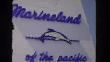 Los Angeles California USA (1962): It Is The Marineland Seeing Very Beautiful