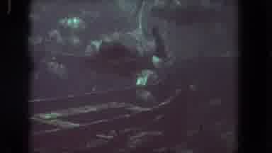 Los Angeles California USA (1962): A Picture Of Sea Animals Under The Water