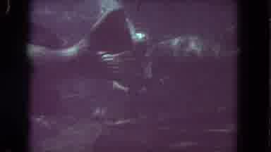 Los Angeles California USA (1962): Deep Ocean Scuba Diving To Observe The Coral