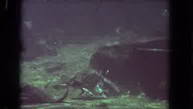 Los Angeles California USA (1962): Underwater Scene With Many Fish Swimming In All