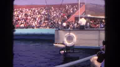 Los Angeles California USA (1962): A Coliseum Full Of People Assumedly At Sea