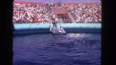 Los Angeles California USA (1962): Sea Life Display Dolphins