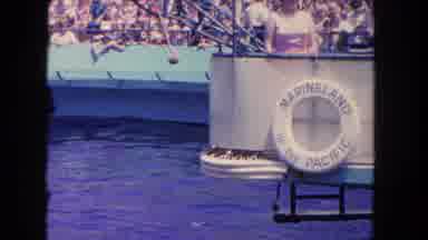 Los Angeles California USA (1962): Whale In Zoo Jumps To Catch Food And Get It
