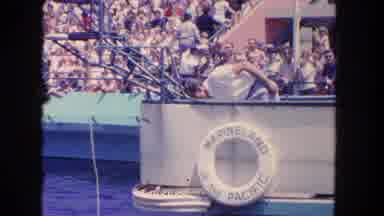 Los Angeles California USA (1962): The Dolphin Is Well Playing In The Water Very