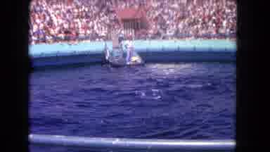 Los Angeles California USA (1962): The Dolphin Is Playing Very Well In The Water