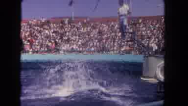 Los Angeles California USA (1962): A Trainer At Seaworld Showing People The Tricks