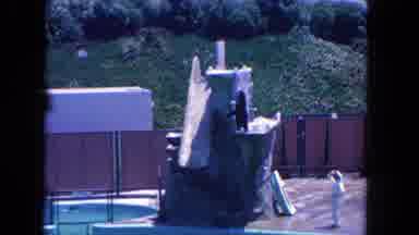 Los Angeles California USA (1962): Penguins Doing Tricks With Trainer