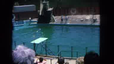Los Angeles California USA (1962): Person Diving In Pool