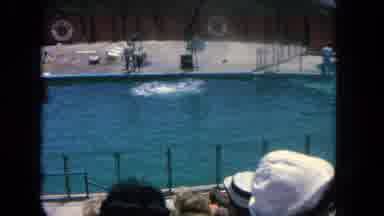 Los Angeles California USA (1962): Aquarium In The 1980s People Watching A Show