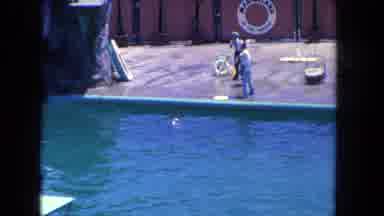 Los Angeles California USA (1962): Family-Friendly Fun With Cute Animals Like