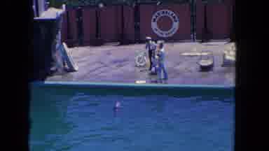 Los Angeles California USA (1962): Guys Fishing On A Pier