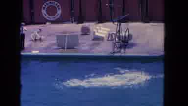 Los Angeles California USA (1962): Dolphin Jumps Out Of Water To Retrieve Its Meal