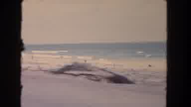 Los Angeles California USA (1962): Waves Of A Vast Ocean Slowly Crashing Onto A