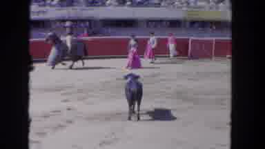 Los Angeles California USA (1962): Bullfight Arena Full Of People Walking In The