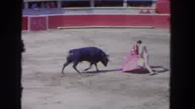 Los Angeles California USA (1962): Raging Bull Desperately Tries To Get The