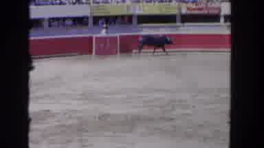 Los Angeles California USA (1962): The Matador And The Bull