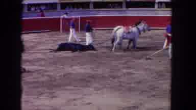 Los Angeles California USA (1962): Horses Pulling A Dead Bull From The Stadium