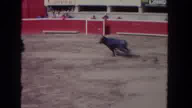 Los Angeles California USA (1962): Large Black Bull Running After A Matador In A