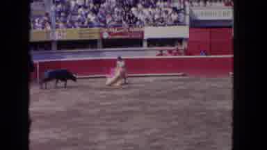 Los Angeles California USA (1962): Animal Cruelty Bullfight