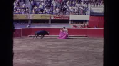 Los Angeles California USA (1962): A Matador Manipulating A Black Bull With A Pink