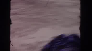 Los Angeles California USA (1962): A Bull Fight Is Going On In The Ring With A