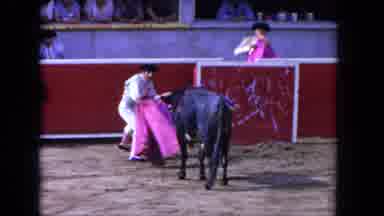 Los Angeles California USA (1962): Bull Red Matador Fear Scary Anger Fighting