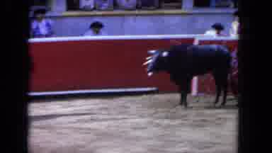 Los Angeles California USA (1962): Cowardly Man Tortures Bleeding Bull That Has