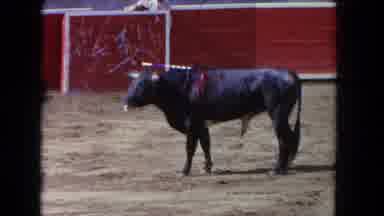 Los Angeles California USA (1962): Matador In White Suit Teases Dying Bull With