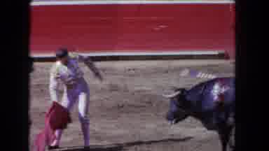 Los Angeles California USA (1962): Guy Fighting A Bull